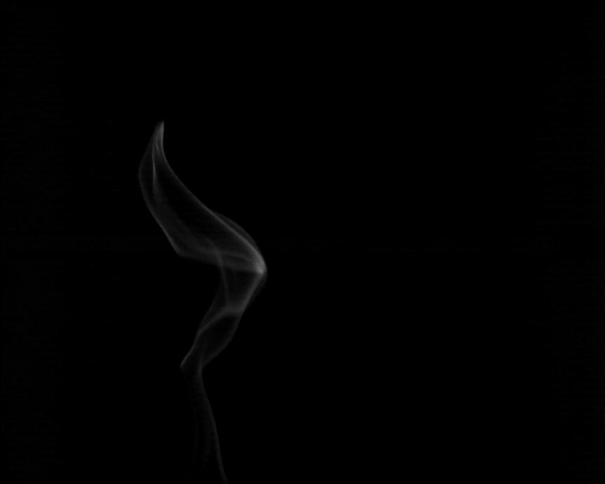 430nm:CH* 発光(増倍管なし、1,000fps)